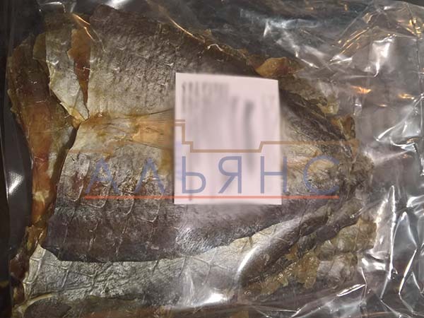 Царский полосатик с перцем в Обнинске